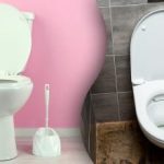 Çoğu insan ölümcül bir hata yapar: tek bir ürün tuvaleti