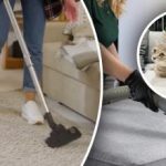 Hiçbir iz kalmayacak: Halıdan idrar kokusunu gidermek için 7 adım