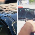 Kuşlar artık arabalara pislemeyecek: İşte yapmanız gerekenler