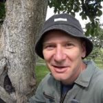 Oyuk bir ölüm cezası değildir: Bir ağacın ömrünü uzatmanın kanıtlanmış bir yolu Oyuk bir ölüm cezası değildir: Bir ağacın ömrünü uzatmanın kanıtlanmış