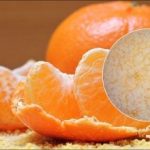 Portakallar altı ay boyunca nasıl korunur: bir mutfak sırrı Portakallar altı ay boyunca nasıl korunur: bir mutfak sırrı