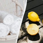 Satın aldıktan sonraki gibi kar beyazı ve yumuşak havlular: yıkarken limon eklemeniz gerekir Satın aldıktan sonraki gibi kar beyazı ve yumuşak havlular: yıkarken