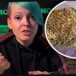 Yeşil gübre nasıl seçilir ve hasatla komşularınızı şaşırtın: bahçıvan etkili tavsiyeler verdi Yeşil gübre nasıl seçilir ve hasatla komşularınızı şaşırtın: bahçıvan etkili